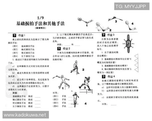 深圳羽毛球队速度对比独家解析及其对比赛成绩的影响分析