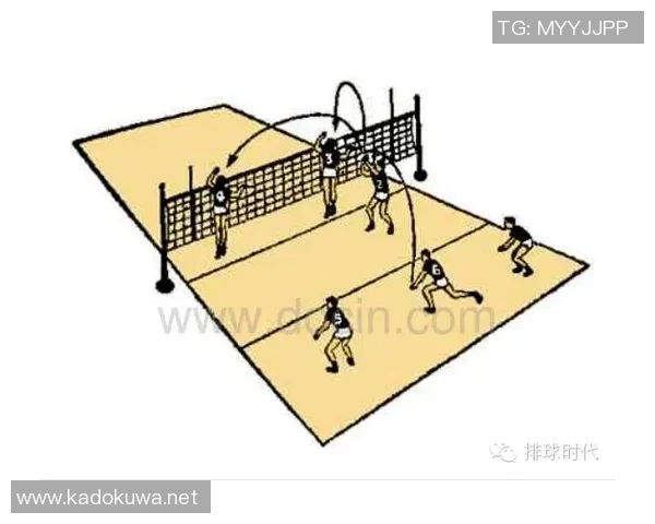 重庆排球队的战术掌控与发展趋势深度分析 重庆排球队的战术掌控与发展趋势深度分析