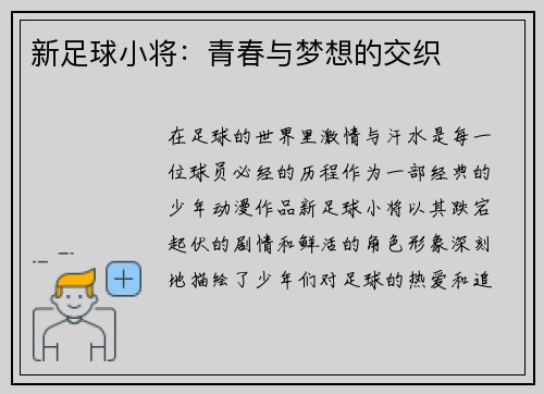 新足球小将：青春与梦想的交织