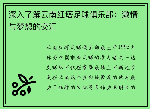 深入了解云南红塔足球俱乐部：激情与梦想的交汇